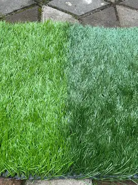 Rumput Sintetis Tinggi 5Cm Rumput Lapangan Mini Soccer Dan Futsal