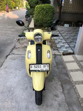 Fazzio thn 2025 like new