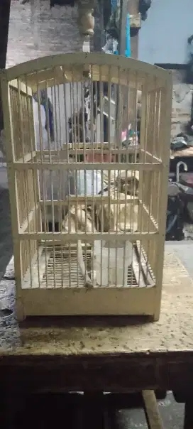 Sangkar burung kecil