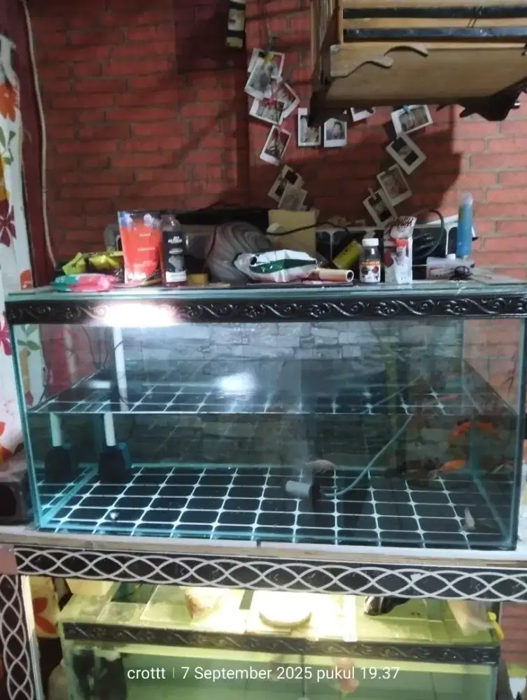 Aquarium fulset