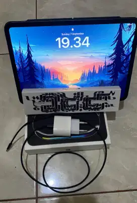 Ipad Pro M4 256gb wifi only + Apple Pencil pro