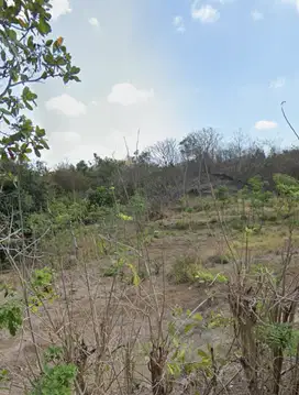 Tanah premium dekat central Kuta Mandalika Lombok. Cocok untuk villa