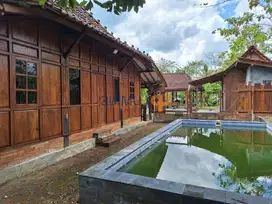 Rumah Unik Bernuansa Alam di Playen – Murah & Potensial