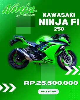 Kawsaki Ninja 250 fi tahun 2013 Istimewa KM rendah, khusus yang hoby