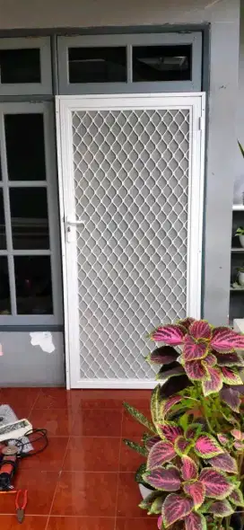 Pintu kasa nyamuk