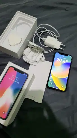 Iphone X 256gb wifi only