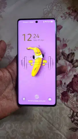 Infinix Hot 50 Pro Plus 8/256 fullset