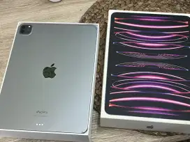 Ipad pro 11inci 128 (4th generation) resmi iBox wifii only