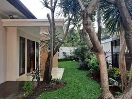 Disewakan Rumah 1 Lantai 4 Kamar Dengan Kolam Renang Pribadi Di Kemang