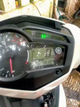 Mx king 150 pjk on pnjang