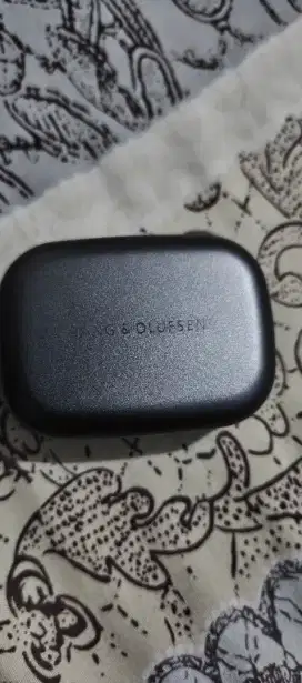 Bang & olufsen EX no waranty