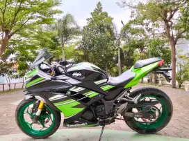 Kawasaki ninja KR 250