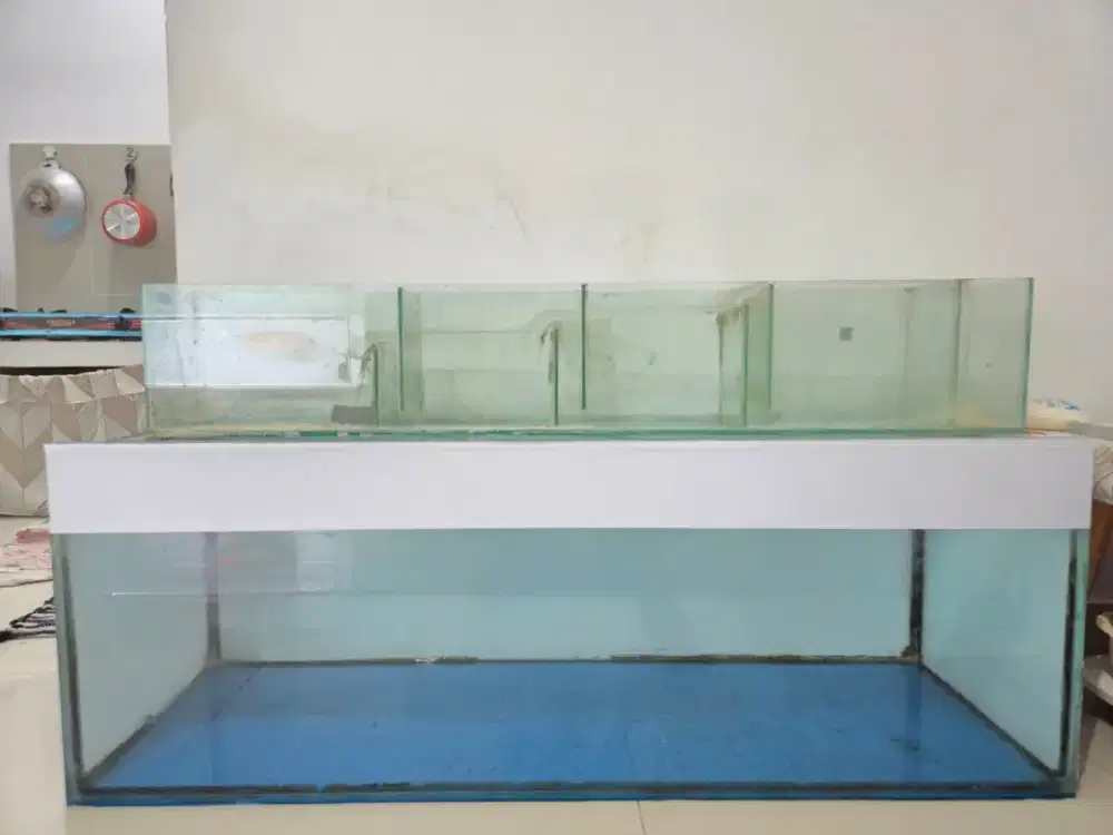 Aquarium 120x40x40