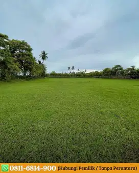 Tanah Lokasi Strategist di pusat Kota Labuy ! 4 menit dari tol kajhu !