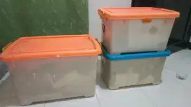 Dijual Container Box (Shinpo)