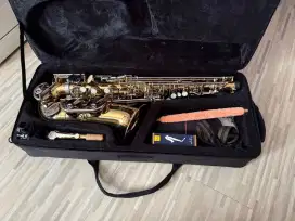 Saxophone Venus AS512GN Alto