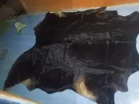 karpet lantai kulis sapi asli prom IKEA ,