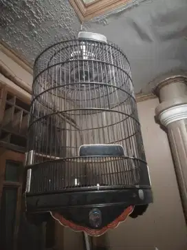 Sangkar murai rafi jaya