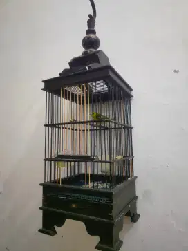 Sirpu jantan+sangkar