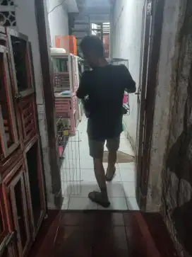 Di cari yang bisa merawat anjing kucing