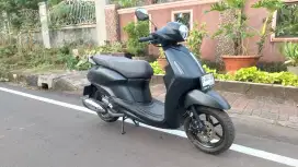YAMAHA FILANO LUX 2024