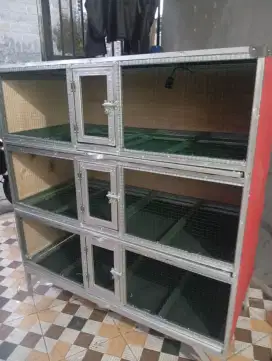 kandang tuk pembesaran/anak ayam