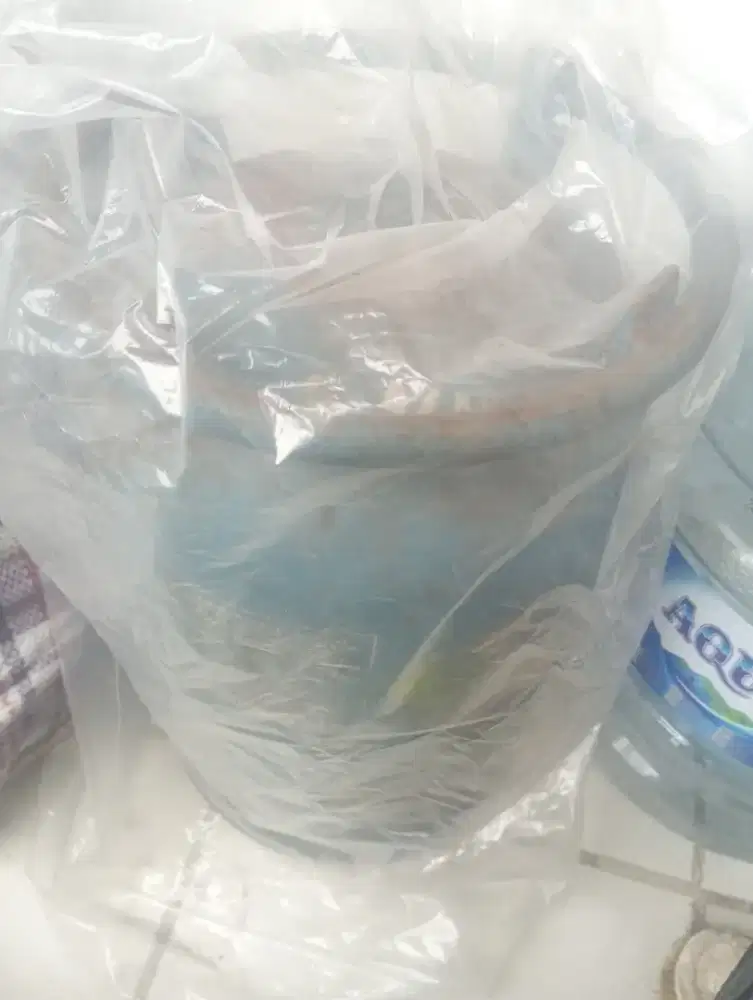 Jual Tabung Gas Kosong 8 kg