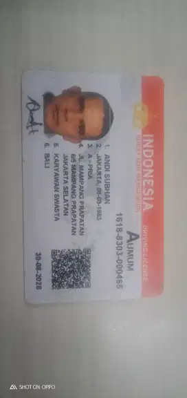 Driver pribadi atau operasional