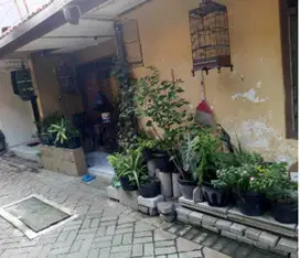 Rumah Kampung Murah siap Huni di Siwalankerto Timur, Wonocolo, Sby