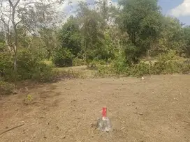 Amazing Land In Great Location Balangan Bali