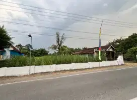 TANAH PERKARANGAN COCOK UNTUK PERUMAHAN ATAU PERGUDANGAN
