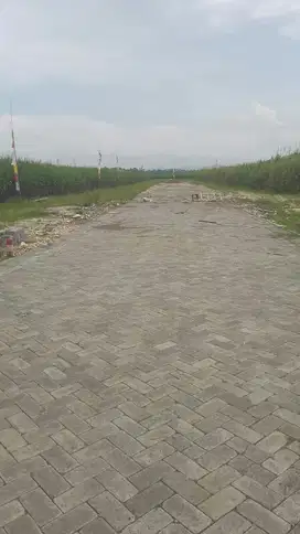 Tanah Kavling Blobo Sukoraharjo Kepanjen Malang