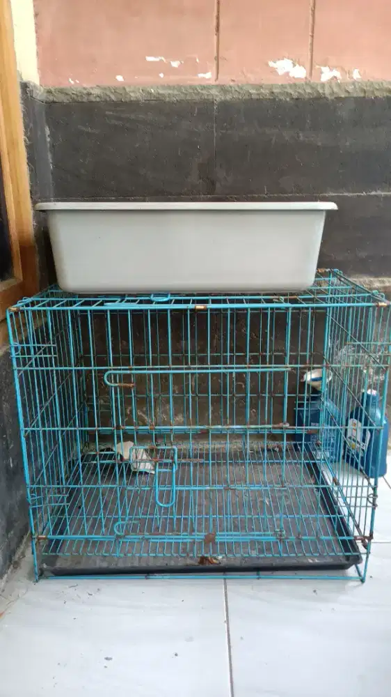 Kandang KUCING Lipat