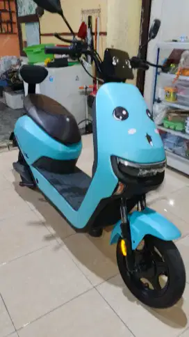 Sepeda listrik Winfly M70