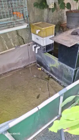 Kolam ikan terpal Jumbo