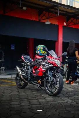 Ninja 250 SL Mono 2018
