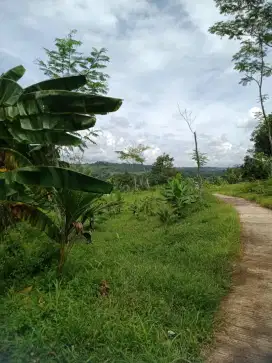 juat tanah 8.8hktar cocok untuk usaha pertanian.. villa dll