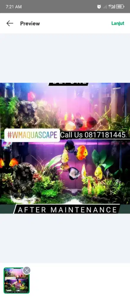 Jasa Pembersihan Aquarium/Kolam Air Tawar/Laut