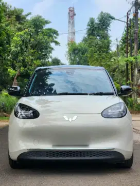 Wuling Binguo EV Long Range 333 Ac/Dc 2024 Perfetc Condt
