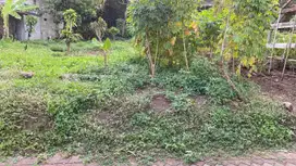 TANAH MURAH STRATEGIS DEKAT KAMPUS UNDIP TEMBALANG LOKASI DI MULAWARMA