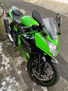 Ninja 250 SL Mono 2021