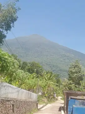 Di jual sebidang tanah