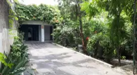 Rumah asri, tenang dan nyaman Kemang