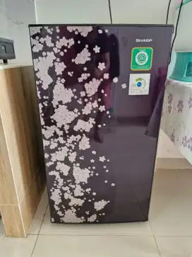 Dijual Cepat Kulkas 1 pintu