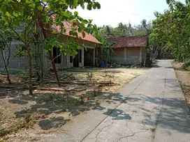 Tanah Pekarangan Bagus Murah di Pandak Bantul TP 109