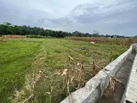 Dijual Tanah Sawah 2 Rante