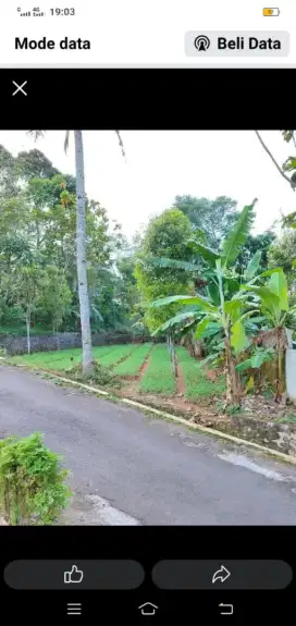 Di jual sebidang tanah di desa Linggajati cilimus Kuningan