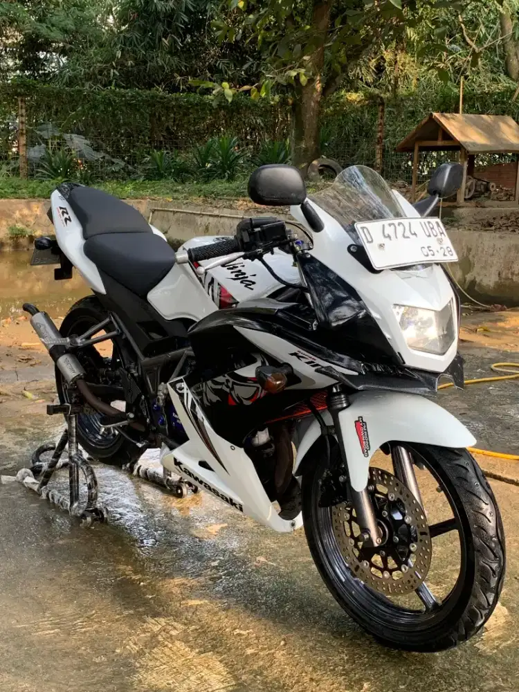 NINJA RR NEW SE ALBINO ASLI PUTIH
