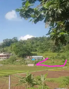 Di jual tanah desa linggaindah cilimus Kuningan Jabar