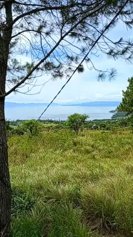 DIJUAL 5.000M² WISMA CAMPING RESORT VIEW DANAU TOBA (081264304189)